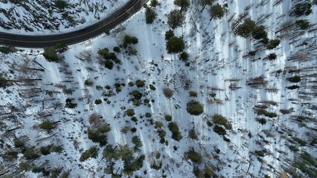 Snowcrest Aerial Shot of Winter Snow Forest Road Bird's Eye View California USA
