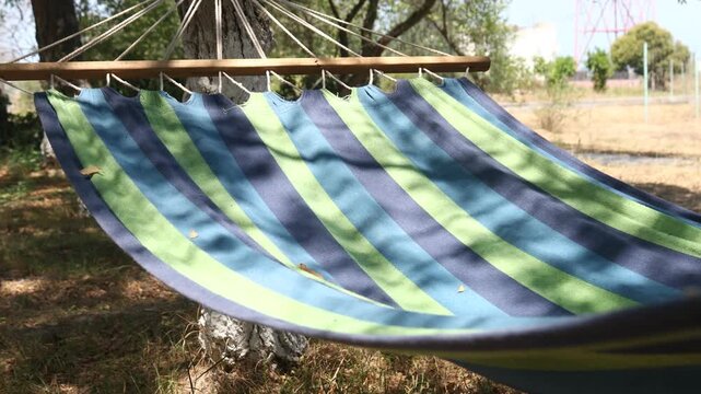A hammock suspended between two trees in a green field