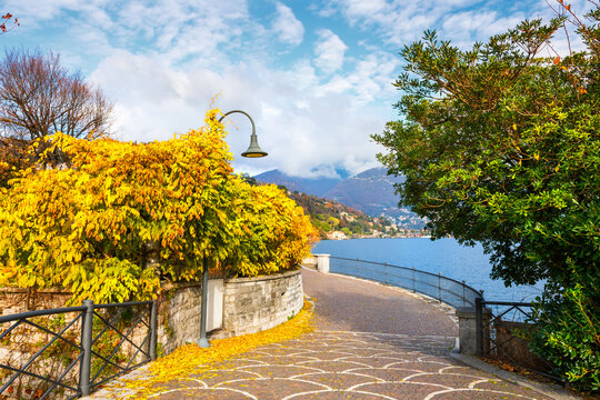 Yellow autumn trees on the promenade of Como lake, Italy. Blue sky with clouds and Alps mountains in the background.