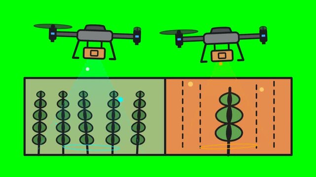Agricultural Drones Scanning Farm Crops and Soil with Sensors for Smart Farming Animation on Green Screen