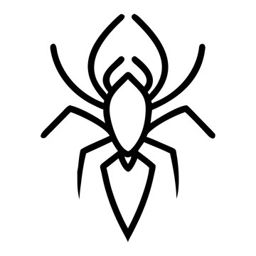 Spider Animal Illustration