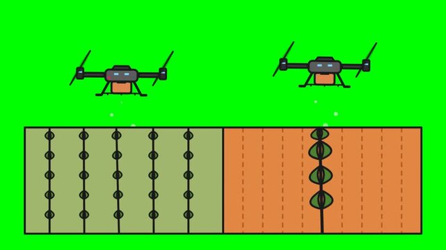 2D Animated Agricultural Drones Flying and Spraying Crops on a Green Screen Background for Smart Farming Concept