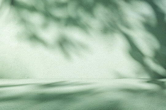 Light Green Studio Room with Natural Foliage Leaf Shadow Overlay.