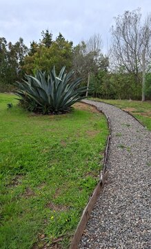 path in the park