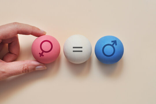 Gender Equality Concept with Female and Male Symbols and Equal Sign