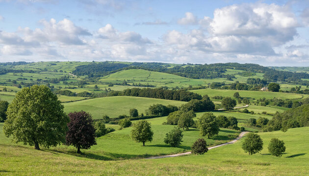 Serene landscape of rolling green hills and trees under a blue sky with white clouds