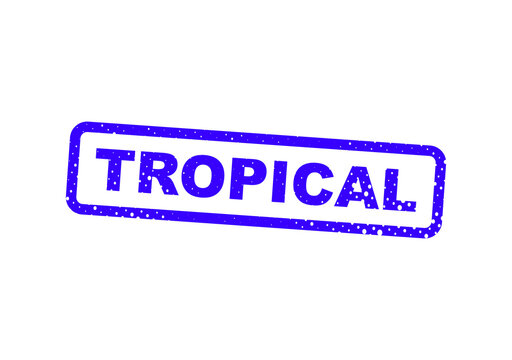 Blue tropical rubber stamp with bold text illustration