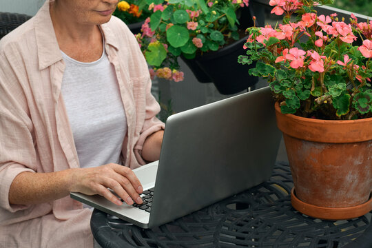 Middle aged woman typing on laptop computer next to terracotta pot with pink geranium on balcony