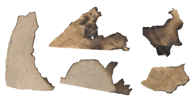 Collection of five torn and burnt paper scraps with irregular edges showing texture and charring isolated on transparent background transparent background