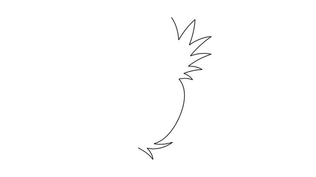 Minimalist continuous line art of pineapple fruit drawing animation isolated on background.