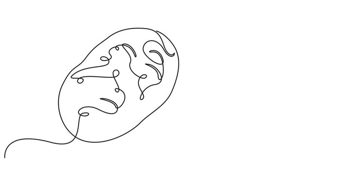 Animated self drawing of single continuous line draw whole healthy organic sweet potato for orchard logo identity. Fresh ipomoea batatas concept for botanically icon. Full length one line animation.