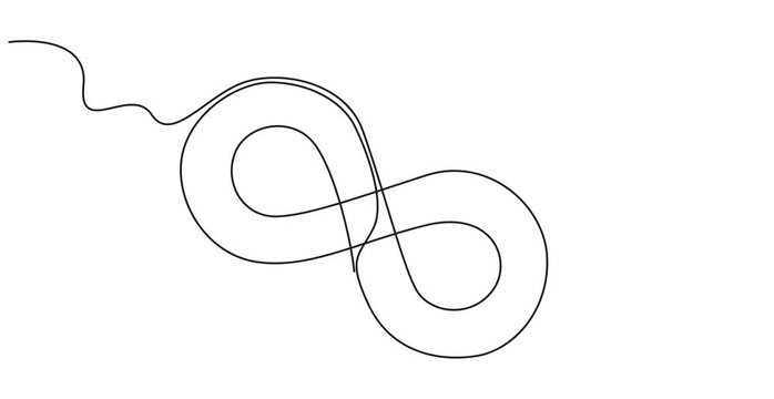 Infinity loop continuous line drawing animation for eternity, math, and corporate branding. Minimalist continuous line, animation continuous drawing of infinity with one line, Infinity sign mark one.