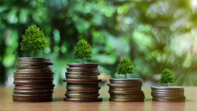 Tiny trees growing from increasing stacks of golden coins on wooden table with investment business interest