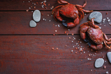 Top view of red crabs with sea salt crystals and stones on wooden background with copy space, seafood ingredient concept, natural coastal cuisine © svittlana