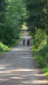 Ein gl&uuml;ckliches &auml;lteres Ehepaar geht gem&uuml;tlich auf einem von hohen gr&uuml;nen Tannen ges&auml;umten Waldweg spazieren. Die warmen Sonnenstrahlen des Sommers fallen durch die Baumwipfel und tauchen die Szene in