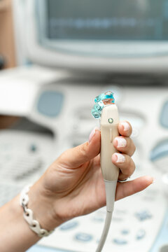 Medical professional holding an ultrasound transducer in front of a diagnostic ultrasound machine. Modern medical equipment used for human and veterinary imaging examinations.