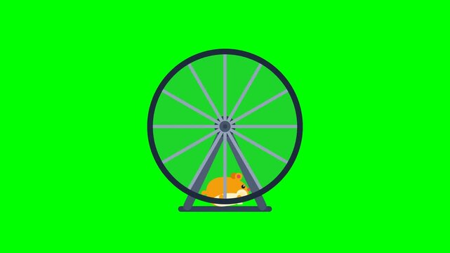 Cute cartoon hamster running on an exercise wheel against a green screen.