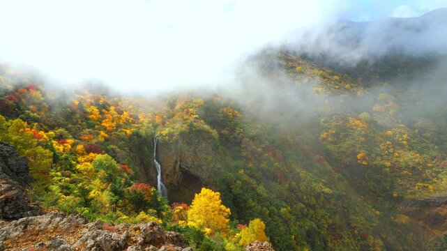 秋の蔵王【宮城県刈田郡蔵王町】駒草平の紅葉と雲海