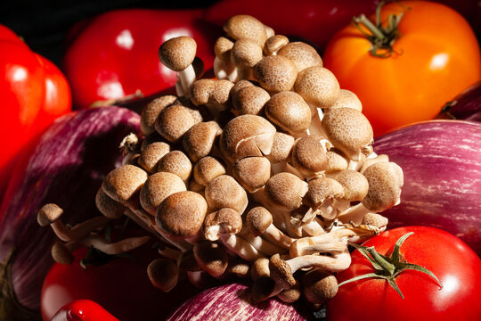 enoki mushroom vegetable mix on black background