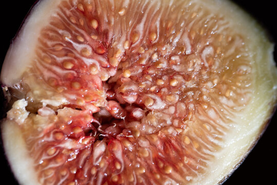 Close-up of a cut fig. The red flesh is clearly visible.