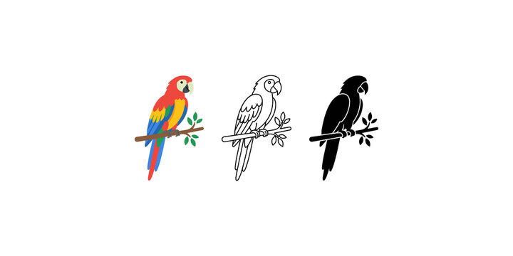 Colorful macaw parrot illustration shown in three distinct artistic styles including full color line art and solid black silhouette set.
