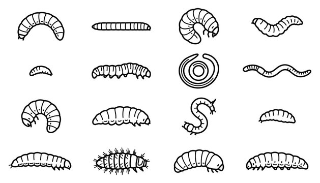 Set of various worm and larva icons, hand drawn vector illustration