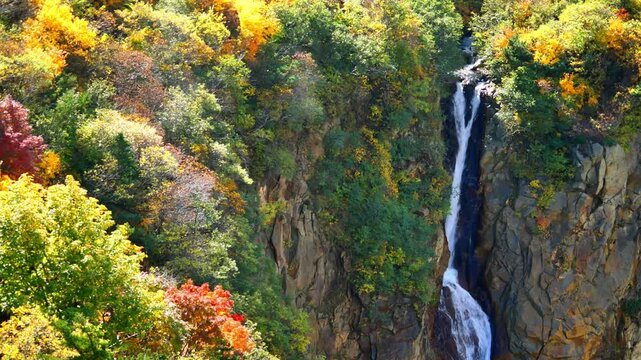 不帰の滝（蔵王 駒草平）【宮城県刈田郡蔵王町】
