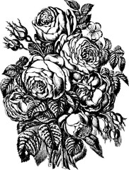 Obraz premium Vintage Rose Bouquet with Butterfly Illustration Detailed Black and White Engraving Style Isolated on Transparent Background PNG
