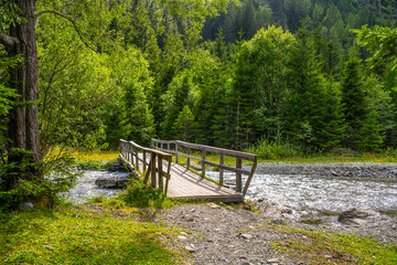 Obraz premium A wooden bridge extends over an alpine river. Surrounding trees provide cover. The scene is set in a natural area, showcasing green foliage. Water flows beneath the bridge.