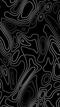 White Topographic Contour Lines on Black Background Loop