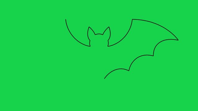 Minimalist bat outline drawing animation on green screen background for halloween projects.
