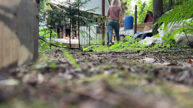Low angle rear view of a person walking along a natural garden path surrounded by lush greenery and trees in a rustic backyard woodland setting.