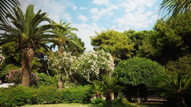 Lush palm trees, oleander and ornamental greenery grow in a sunny park in Bar, Montenegro. Mediterranean garden scene suggests travel, leisure and resort lifestyle
