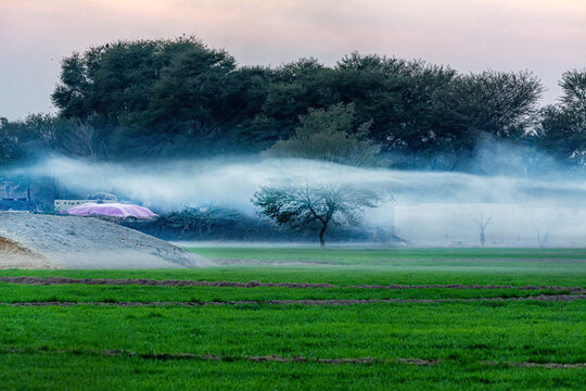 View of a green field being irrigated with a fine mist of water, with lush trees in the background under a soft sky in Jahanian, Pakistan.
