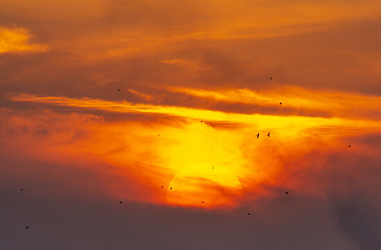 View of the sun setting behind vibrant orange and yellow clouds with birds flying in the sky in Jahanian, Pakistan.