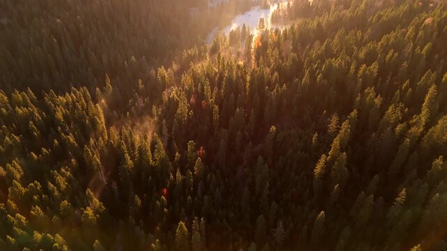Dawn in the mountains in autumn. Sun rays break through the morning fog.