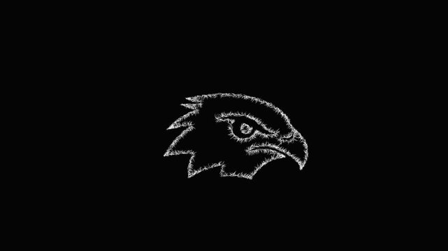 Sketch eagle eye icon animation - smooth progressive reveal