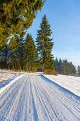 Obraz premium A road covered in snow runs through a wooded area. Tall trees line both sides, showing signs of winter with snow on their branches. The sky is clear and bright.