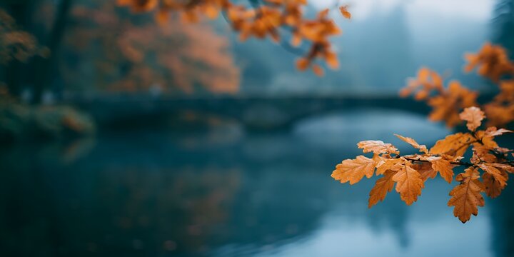 Framed autumn leaves with blurred river and bridge in misty forest