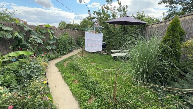 A winding garden path through lush greenery and abundant foliage creating a peaceful atmosphere, perfect for nature walks or botanical study, sunlight filtering softly through leaves