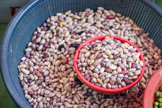 Raw speckled pinto beans piled in plastic baskets at traditional local market in South Korea.