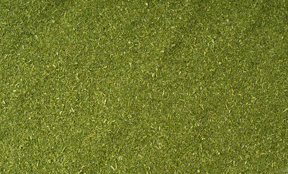 Green grass powder, dry ground barley sprouts