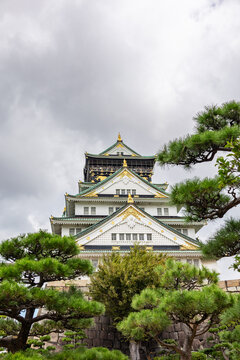 Iconic Osaka Castle framed by pine trees with visitors walking through historic castle park in Osaka Japan