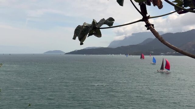 Sailboats Sailing in the Waters of Ilhabela, Brazil, with Mountains and Cargo Ships in the Background