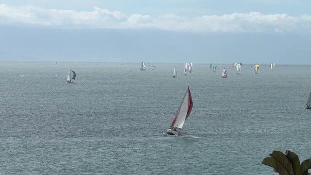 Sailboats Sailing in the Waters of Ilhabela, Brazil, with Mountains and Cargo Ships in the Background