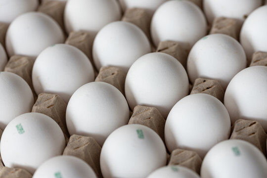 Close-up of white chicken eggs arranged in a cardboard carton, suitable for food, nutrition, cooking, breakfast, protein, agriculture and grocery concepts.