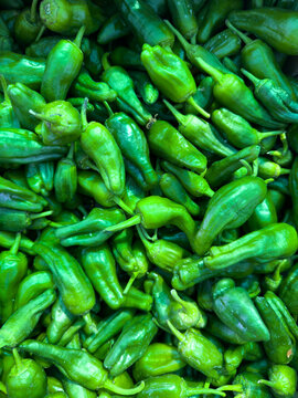 Pimientos de Padr&oacute;n