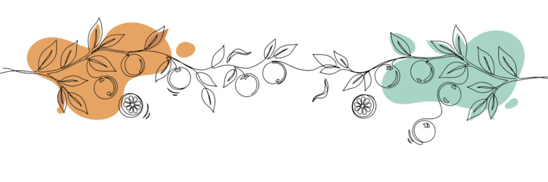Botanical Line Art Illustration of a Fruit Bearing Branch with Leaves and Berries Accompanied by Soft Orange and Teal Watercolor Blobs for Farm to Table Organic Food Concept Art