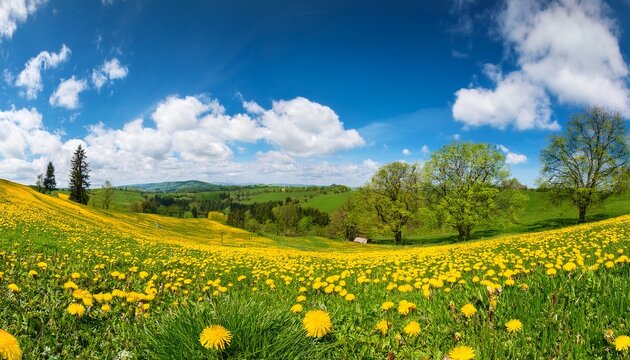 vibrant sunny spring panorama of endless yellow dandelion meadow with rolling green hills fresh leafy trees and fluffy white clouds on bright blue sky travel wellness and seasonal design projects