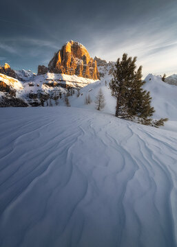 View of Cinque Torri illuminated by golden hour light with snow ripples and a pine tree in the foreground in Cortina d'Ampezzo, Veneto, Italy.